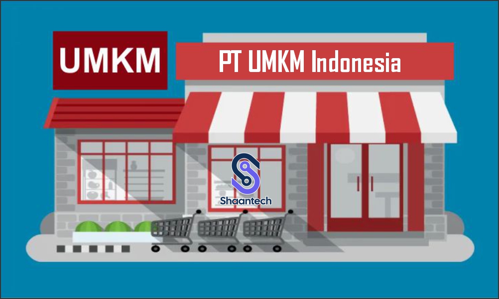 Transformasi UMKM Menjadi PT dan Dampaknya terhadap Pertumbuhan Bisnis